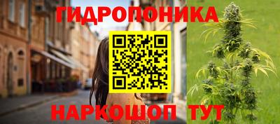 мдпв Канаш