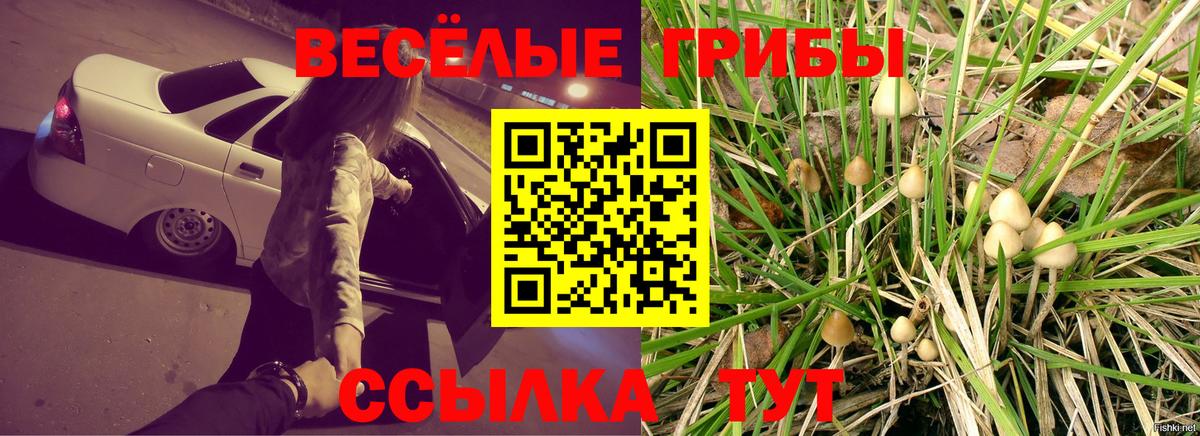 Кузнецк  Галлюциногенные грибы Psilocybine cubensis  как найти   Вход с VPN 