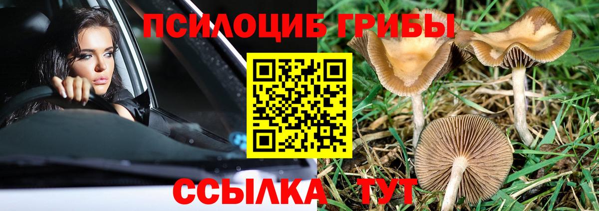 Псилоцибиновые грибы ЛСД Кузнецк