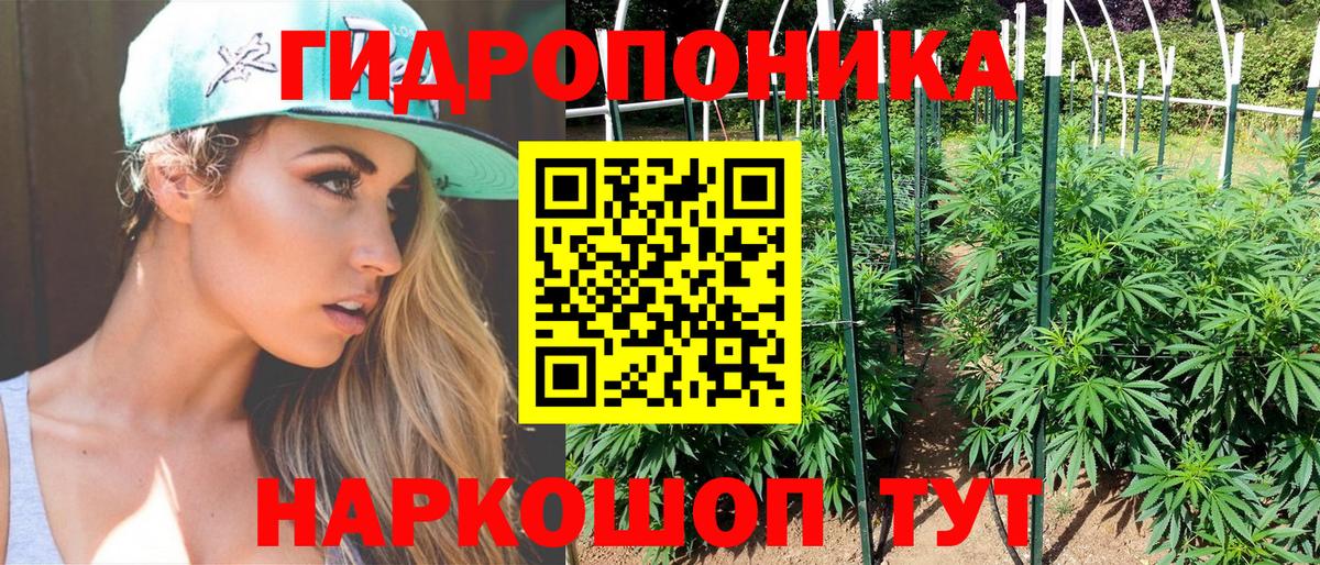 МАРИХУАНА ГИДРОПОН Кузнецк